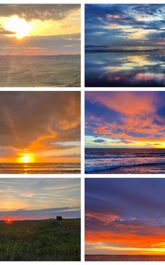 Sunrise enthusiasts🌅 cover