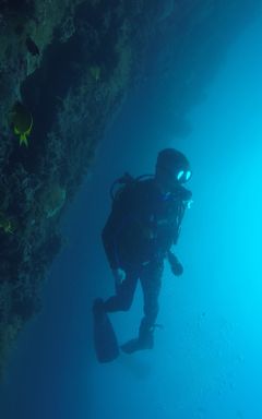 Diving Tour to the France South coast cover