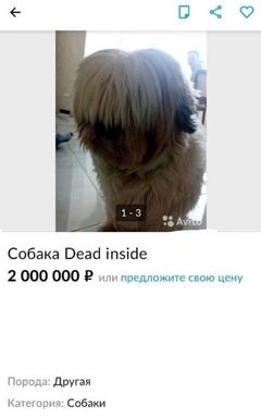 Барахолка: отдам/продам cover