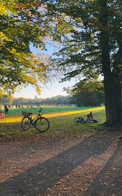 Cycling and picnic. Kampinoski park cover