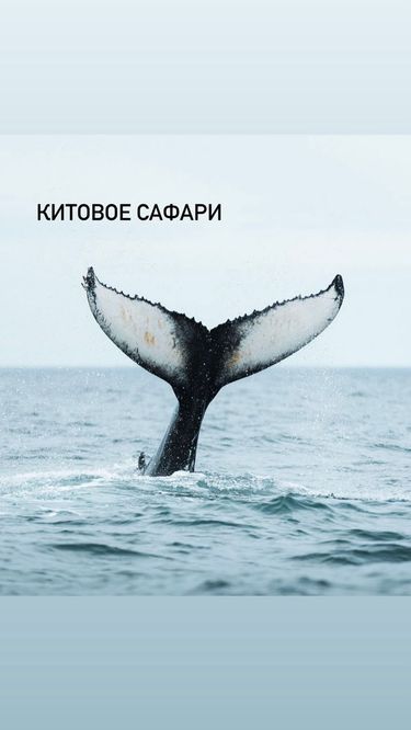 5 image in gallery