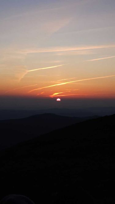 7 image in gallery