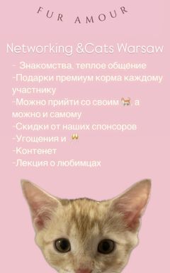 Networking&Cats Club