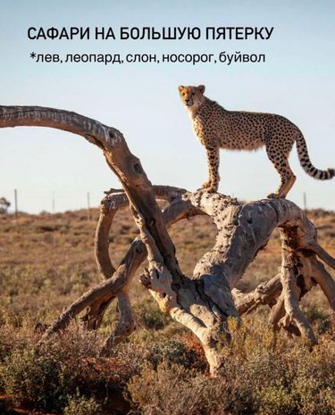 6 image in gallery
