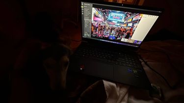 7 image in gallery