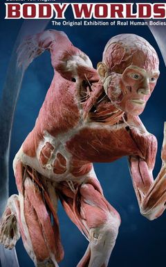 The Body world’s exhibition cover