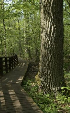 Выходной на природе в Puszcza Kampinowska🌲🪵 cover