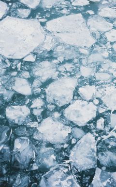 Breathwork & Ice Plunge cover