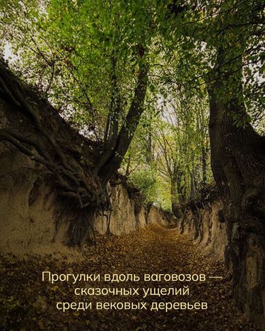 1 image in gallery