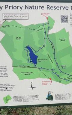 Guided Forest Walk in Stanmore