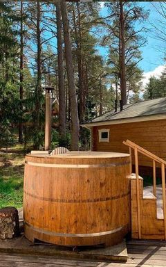 Выходной автовыезд вилла/шашлык/конная езда/сауна cover