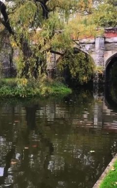 Kensington Garden cover