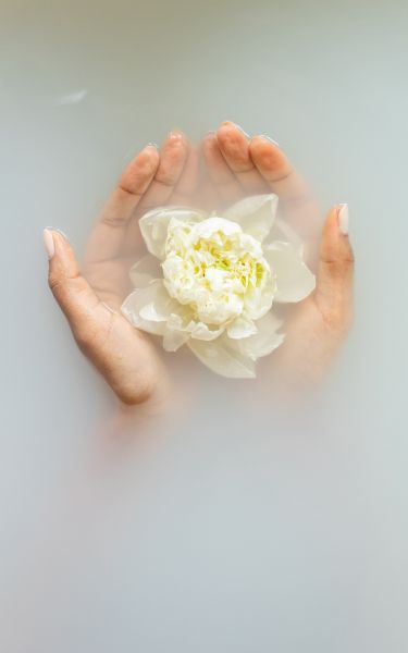 2 image in gallery