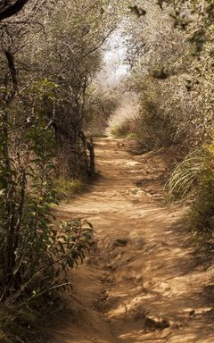 Santa Monica Hike cover