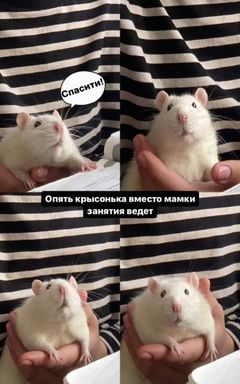Игры на польском:) cover