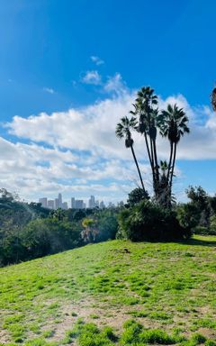 Elysian Park Doggy Walk, & Glowing Juices! cover