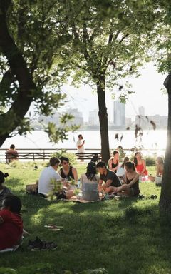Summer solstice Picnic & Drinks cover
