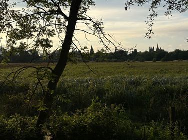 2 image in gallery