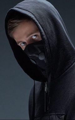 Alan Walker concert cover