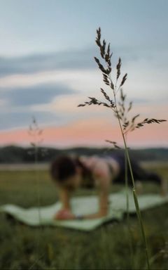Outdoor yoga cover