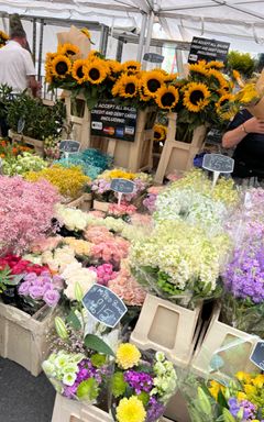 Visit Columbia Flower Market cover