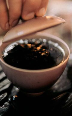 Лекция «Опиумные (чайные) войны в Китае» cover