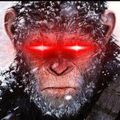 Crypto's avatar