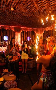 Nightclub experience cover
