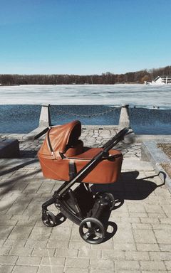 Mums Walking Group (North London)