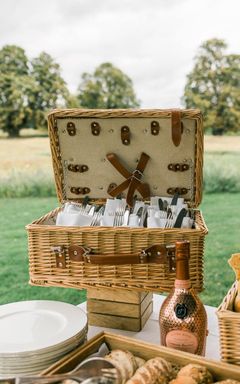 Michelin Style Picnic cover