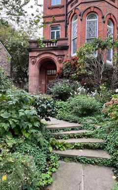 Hampstead walk tour cover