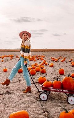 Pumpkin patch photosession cover