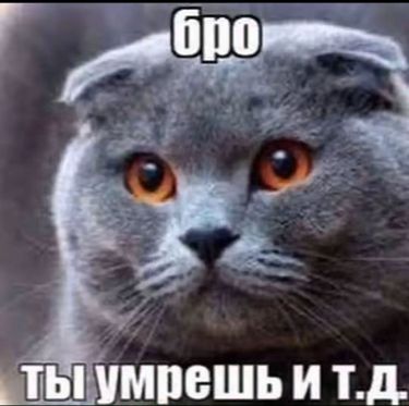 1 image in gallery