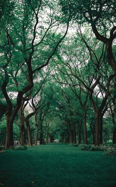 Discover Hyde Park cover