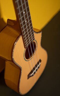 Learn “Somewhere over the rainbow”on the Ukulele cover