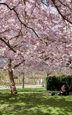 Discover Regent's Park cover