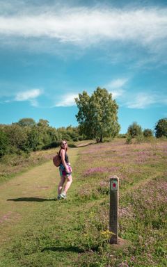 The Box Hill Hike 🥾 cover
