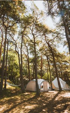 Steckel park camping on labor day weekend cover