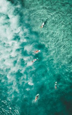 Catch a Wave, catch a Friend! 🏄🏻‍♀️🏄‍♂️ cover