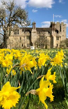 Castles, Daffodils, Cherry Blossoms,... Day Trip cover