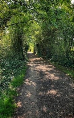 Dollis Valley Greenwalk Trail cover