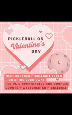 PickleBall cover