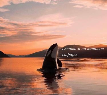 7 image in gallery