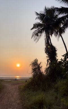 Goan club: Where all the Goenkar meet up cover