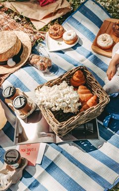 Chatty Blanket Picnic cover