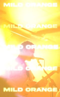 Music concert "Mild Orange"🧡 cover