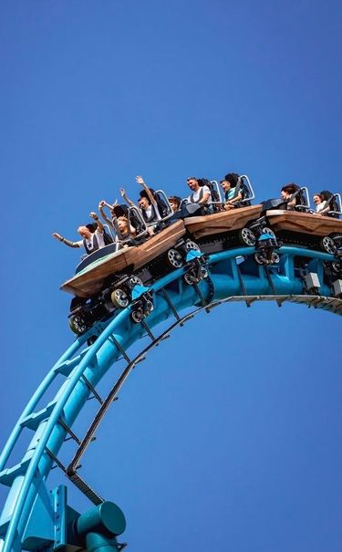 6 image in gallery
