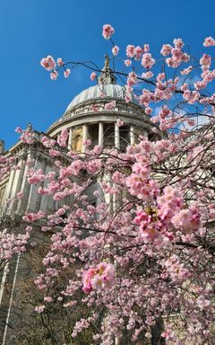 Spring blossom cover