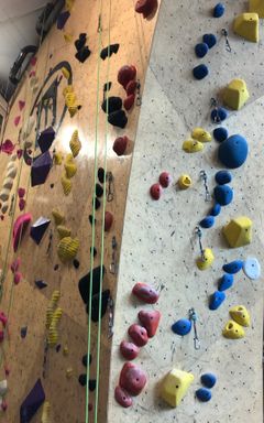 Top Rope Climbing cover