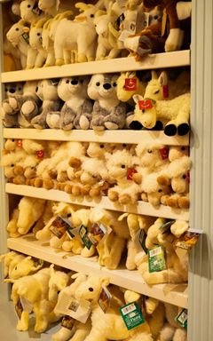 Выходные с детьми (3-5 лет)